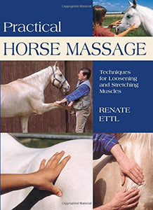 Practical Horse Massage 