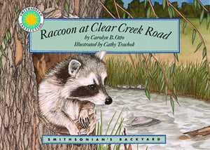 Raccoon at Clear Creek Road 