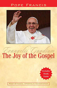 The Joy of the Gospel 