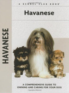 Havanese 