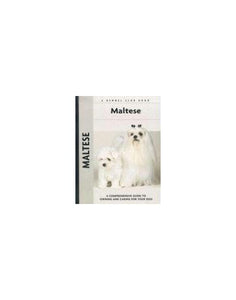 Maltese 