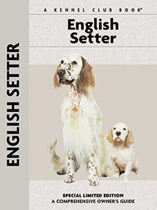 English Setter 