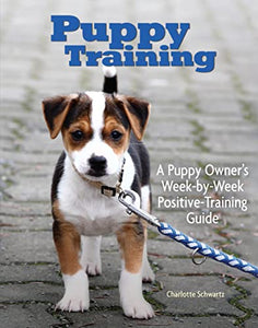 Puppy Training 