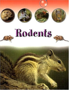 Rodents 