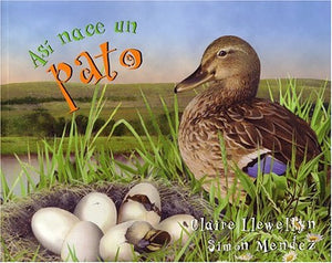 As� Nace... Un Pato 