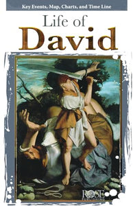 Life of David 