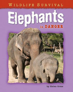Elephants in Danger 