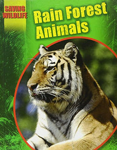 Rain Forest Animals 