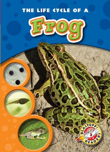 The Life Cycle of a Frog 