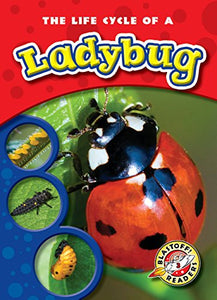 The Life Cycle of a Ladybug 