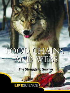 Food Chains and Webs 