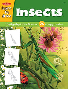 Learn to Draw Insects 