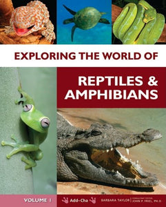 Exploring the World of Reptiles and Amphibians 