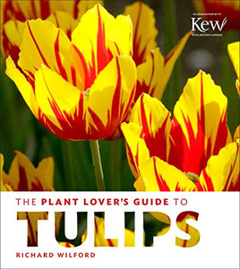 Plant Lover's Guide to Tulips 