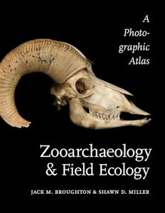 Zooarchaeology and Field Ecology 