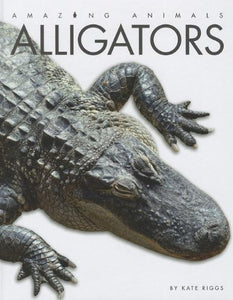 Alligators 