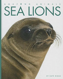 Sea Lions 