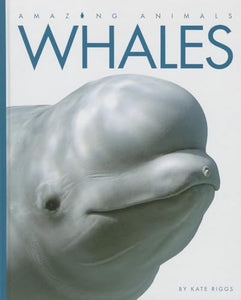 Whales 