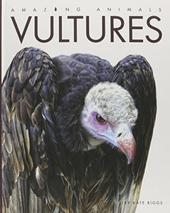 Amazing Animals Vultures 