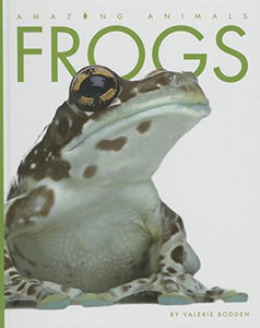 Frogs 