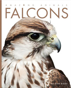 Falcons 