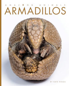 Armadillos 