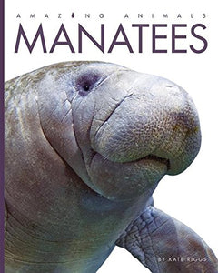 Manatees 