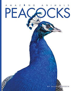 Peacocks 