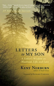 Letters to My Son 