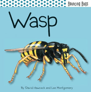 Wasp 