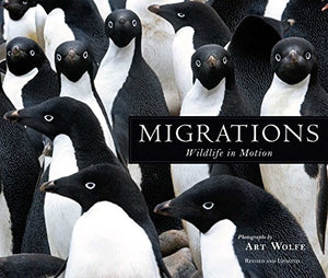 Migrations 