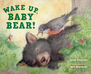 Wake Up, Baby Bear! 