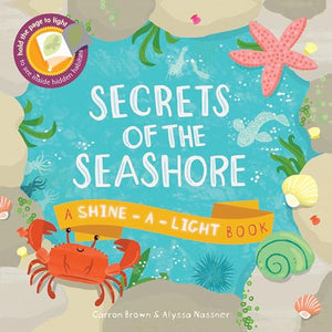 Secrets of the Seashore 