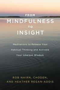 From Mindfulness to Insight 