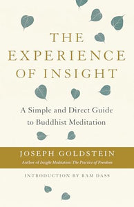 The Experience of Insight 