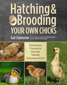 Hatching & Brooding Your Own Chicks 