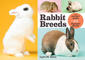 Rabbit Breeds 