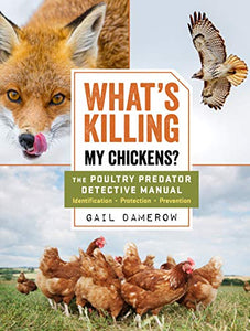 What's Killing My Chickens? 