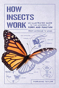 How Insects Work: An Illustrated Guide to the Wonders of Form and Function--From Antennae to Wings 