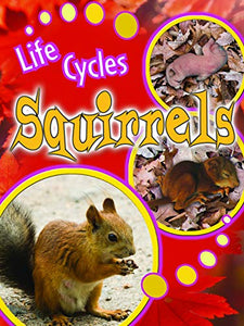 Squirrels 