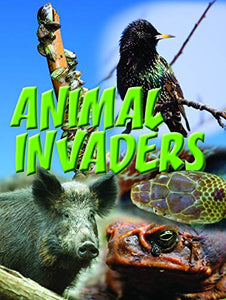 Animal Invaders 