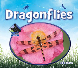 Dragonflies 