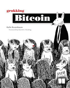 Grokking Bitcoin 