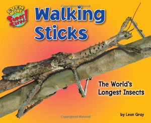 Walking Sticks 