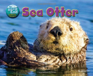 Sea Otter 