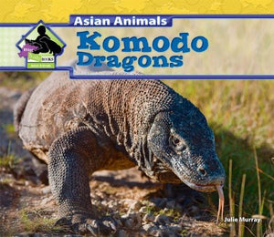 Komodo Dragons 