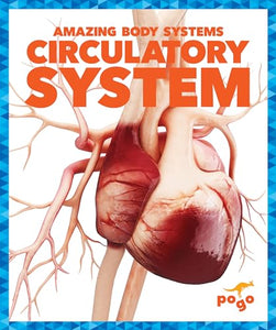 Circulatory System 