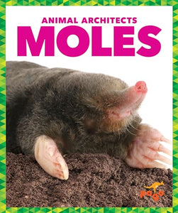 Moles 