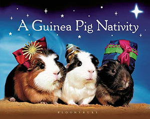 A Guinea Pig Nativity 