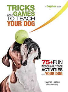 Tricks and Games to Teach Your Dog 